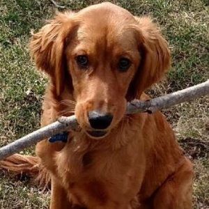 Meet your Posher, Kristi